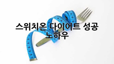 스위치온 다이어트 성공 노하우